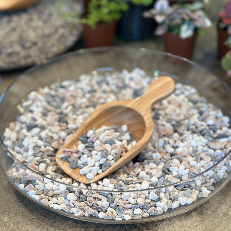 terrarium workshop