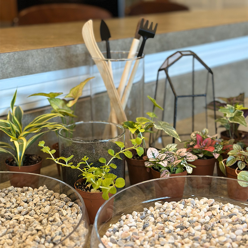 terrarium workshop
